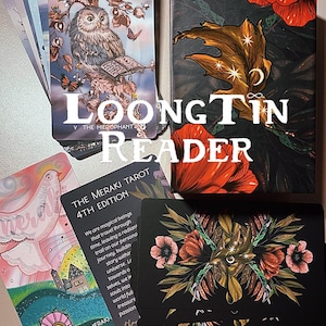 Het Meraki-tarotdeck – 4e editie van Bouchette Design, RWS-systeem, World Journey Tarot, Earth Nature Deck, astrologiekaart, niet verzonden naar de VS