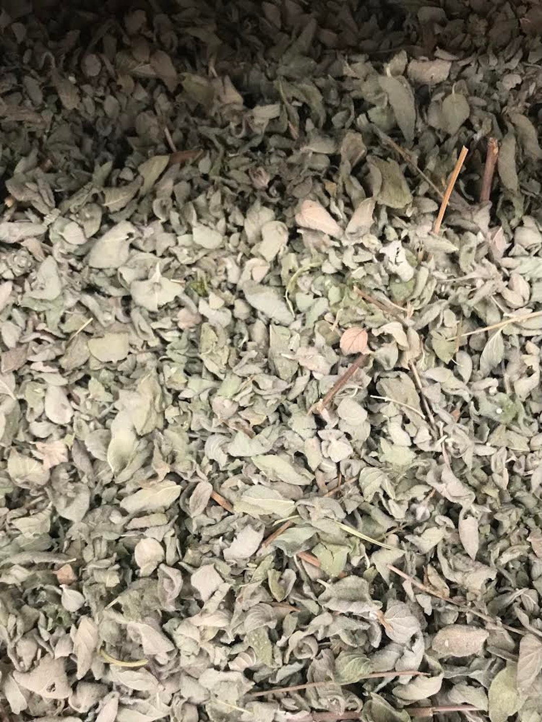 250 Grams Organic Dried Zaater Thyme Handmade ورق زعتر بلدي Etsy