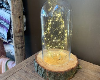 LED Glass dome Tabletop Display | Glass Dome | Preserved Flower Glass Dome | Glass Dome with Lights |  Natural Wood base with fairy lights