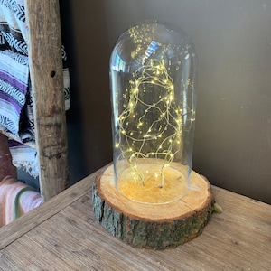 Présentoir de table à dôme en verre LED | Dôme en verre | Dôme en verre à fleurs stabilisées | Dôme en verre avec lumières | Socle en bois naturel avec guirlandes lumineuses