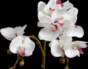 Luxurious real touch orchid with faux leaves