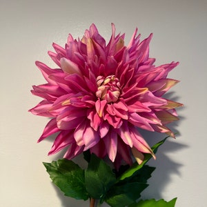 May include: A single pink dahlia flower with green leaves. The flower is in full bloom and has a delicate, ruffled appearance.