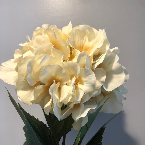 Two off white faux hydrangea stems