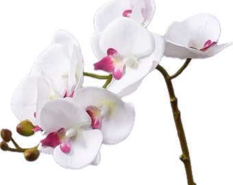 Real touch orchid with faux leaves