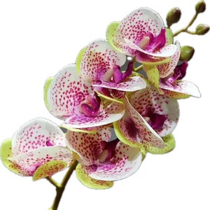 Real touch orchid with faux leaves