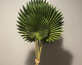 Three real touch tropical leaves