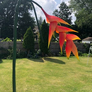 Extra Large luxurious Real touch bird of paradise