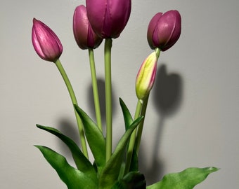 5 tulipanes morados con toque real