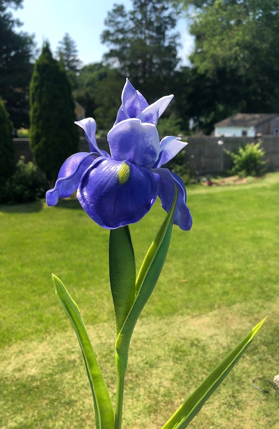 One real touch purple iris stems