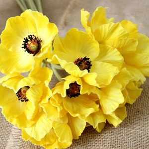 10 real touch poppies