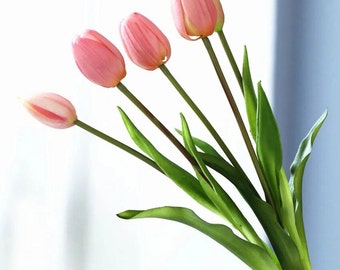 5 tulipes authentiques