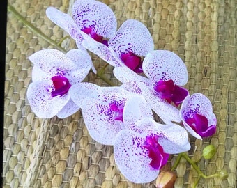 Real touch orchid with faux leaves