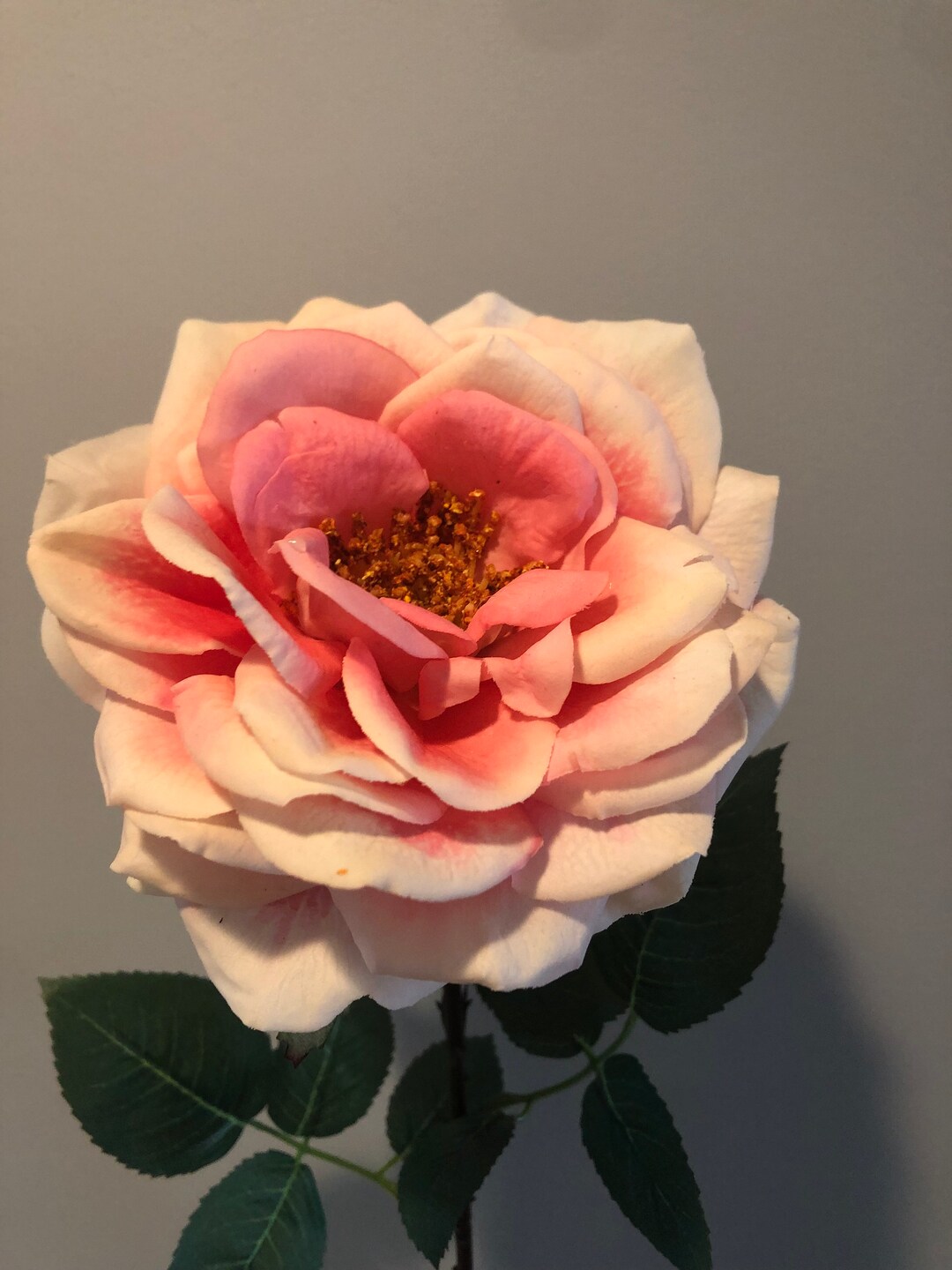 6 Luxurious Real Touch Long Stem Roses Etsy