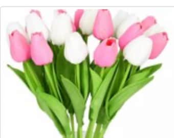 12 echte Tulpen