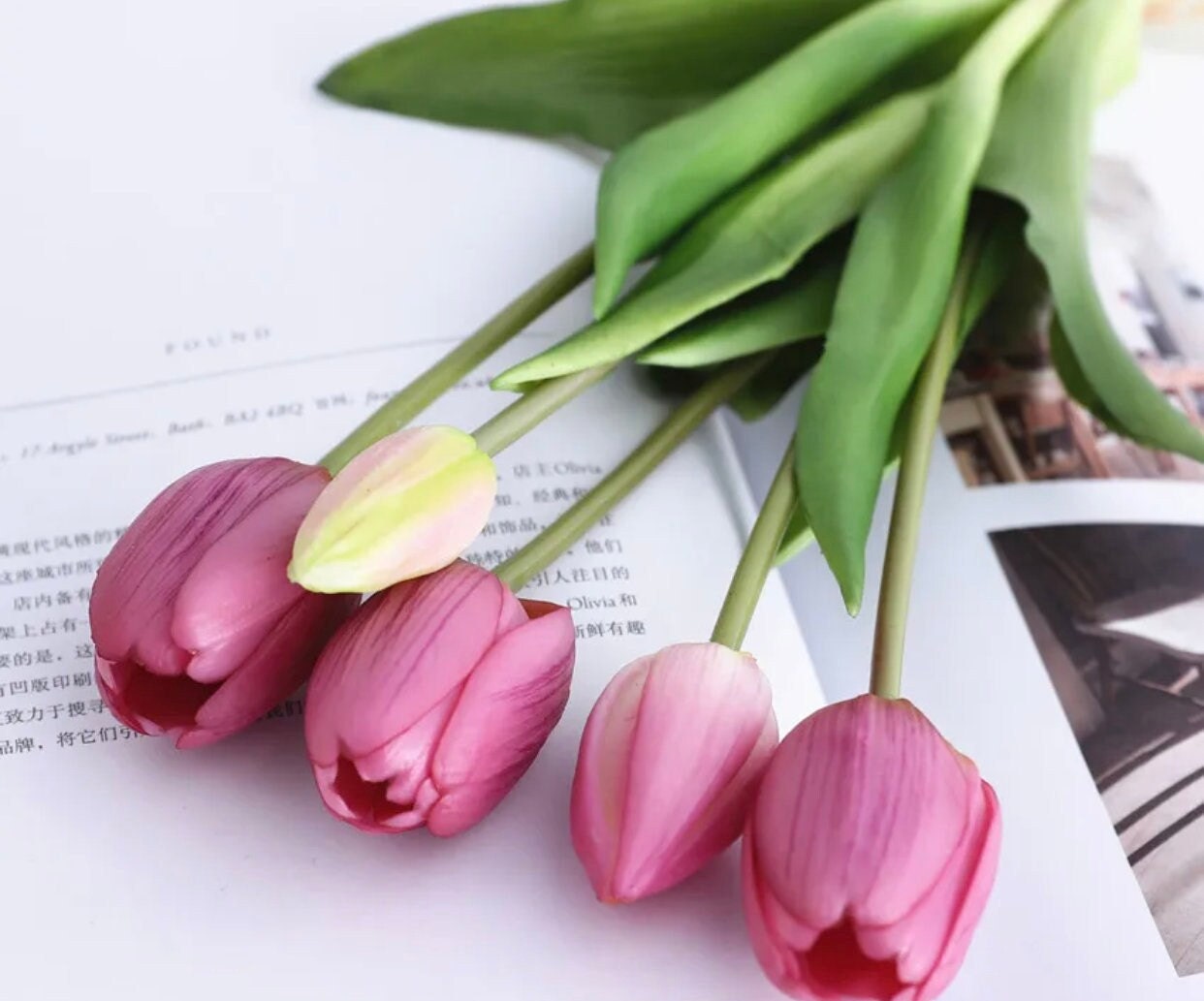 5 Real Touch Colored Tulips - Etsy