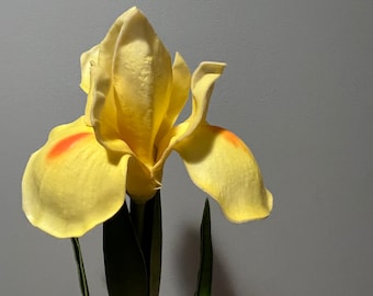 Two real touch yellow iris stem