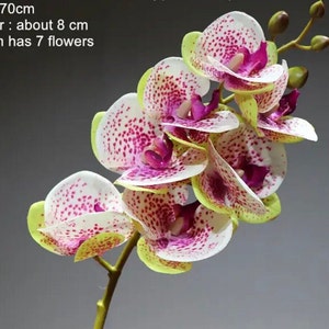 Real touch orchid with faux leaves