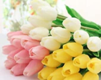 18 echte Hauche Tulpen