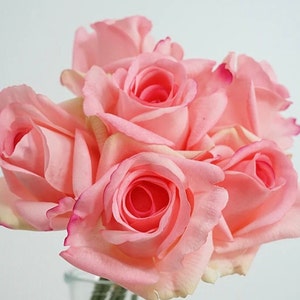 6 real touch roses