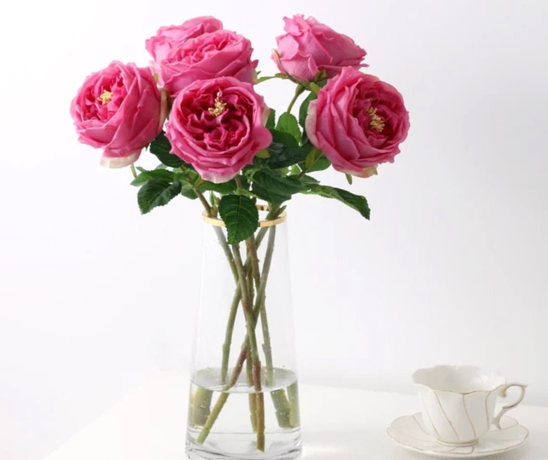 3 Luxurious Large Real Touch Cabbage Roses - Etsy