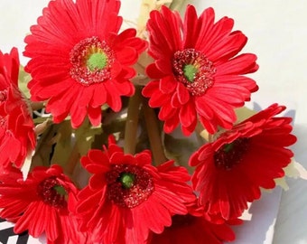 6 Real touch gerbera daisies