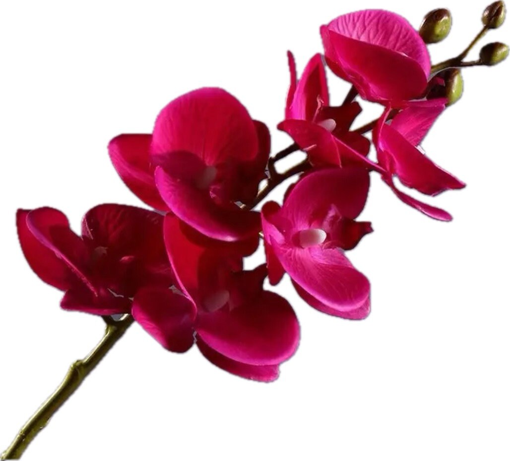 Luxurious real touch dark pink orchid with faux leaves