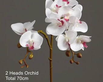 Luxurious real touch orchid with faux leaves