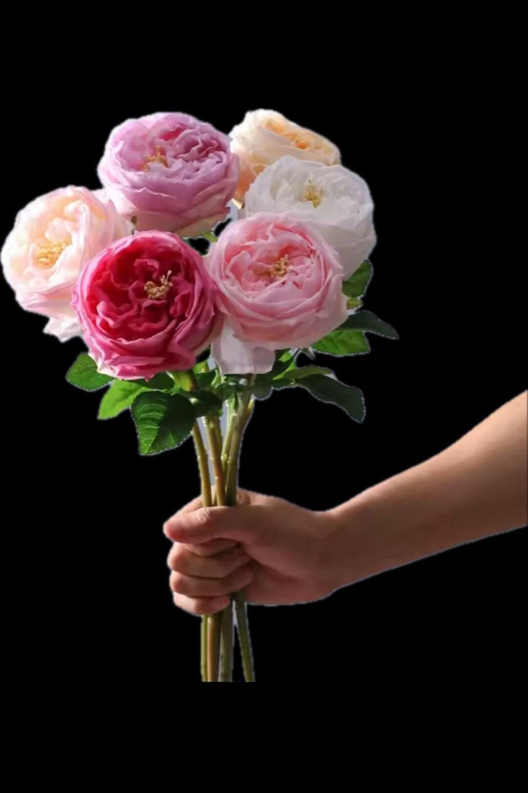6 Large Luxurious Real Touch Cabbage Roses - Etsy