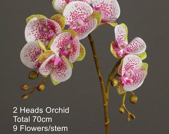 Orchidée luxueuse au toucher authentique avec deux tiges et de fausses feuilles