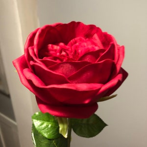 6 luxurious real touch cabbage roses