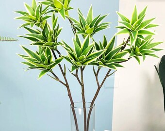 One tropical bamboo plant