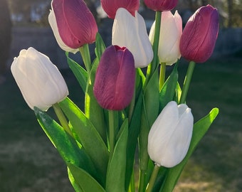 12 tulipes réalistes