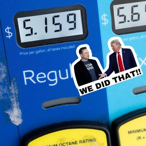 We Did That Trump and Elon Sticker | Political Sticker | Vinyl Sticker | Water Resistant | 2&quot; x 1.5&quot; | Anti Trump | Meme Sticker | Elon Musk