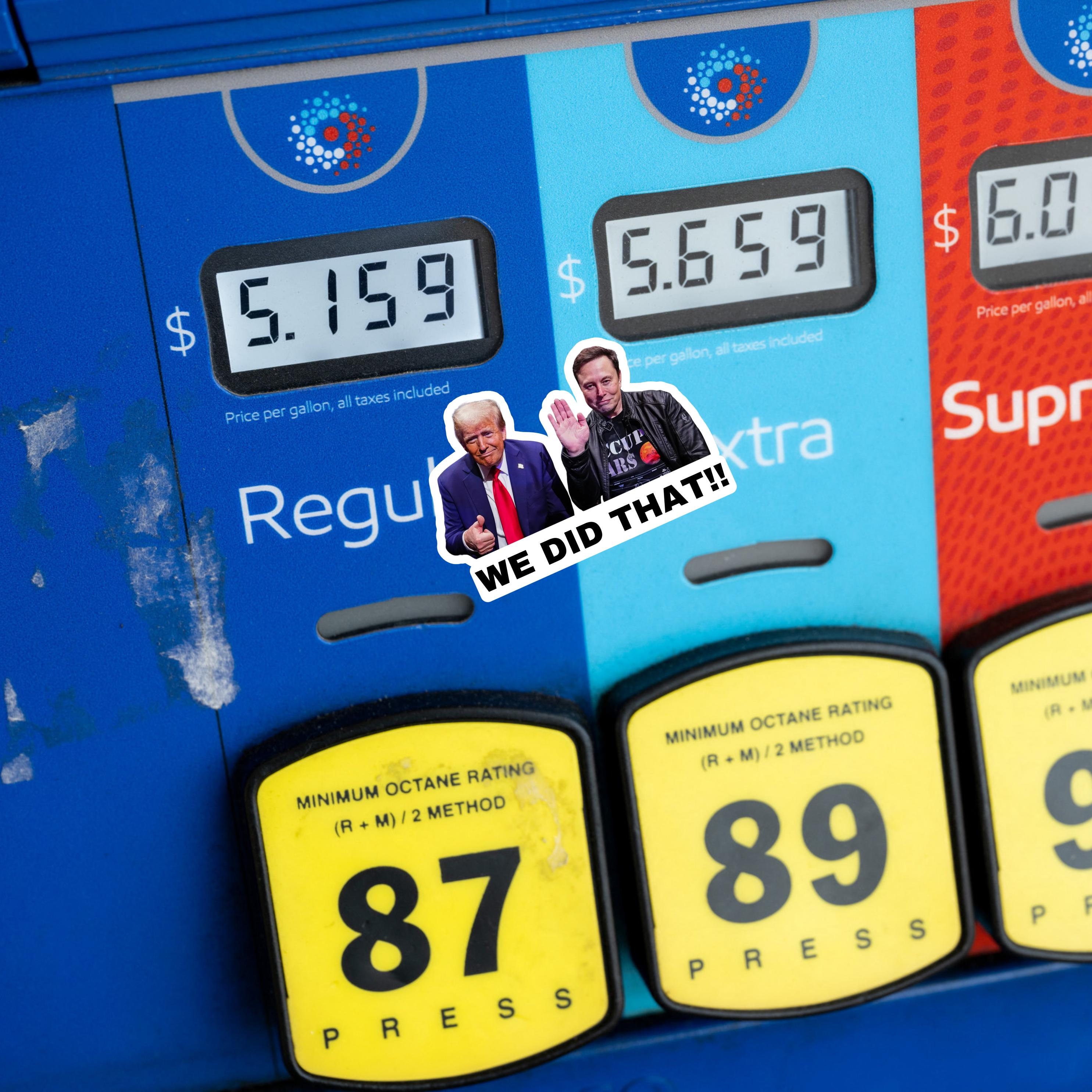 We Did That Trump and Elon Sticker | Political Sticker | Vinyl Sticker | Water Resistant | 2" x 1.5" | Anti Trump | Meme Sticker
