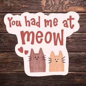 You Had Me at Meow Sticker | Cute Cat Pun Vinyl Decal | Cat Lover Gift |  Kitty Sticker | Animal Lover Aesthetic