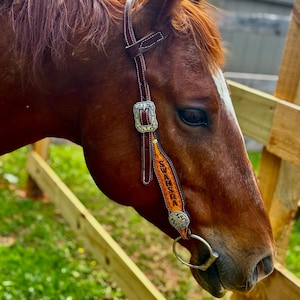 May include: A brown horse wearing a leather bridle with silver-colored buckles and a decorative orange strap. The strap has the name "SWAHSR" printed on it. The horse is in front of a wooden fence.