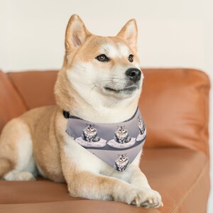 Cat sitting on a pillow B Pet Bandana Collar
