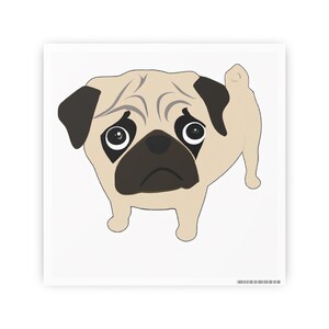 A pug with teary eyes Photo Art Paper Posters