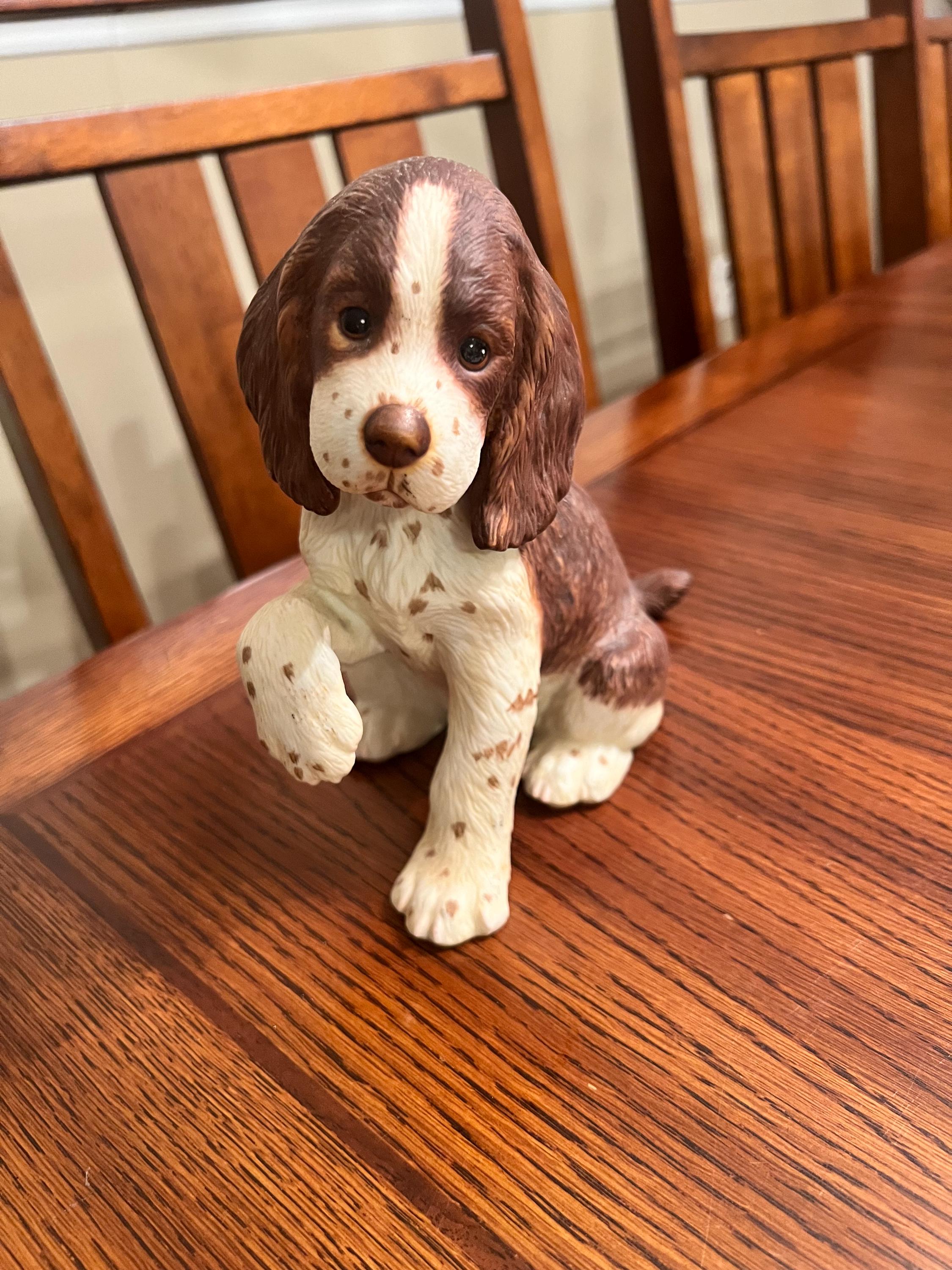 レノックス(スパニエル犬) Jewelled Springer Spaniels English Springer Spaniel Puppy Black / White ID:23180 Located at