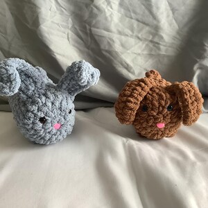 Bunny