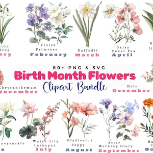 Geboortemaand bloemen Svg, verjaardag bloem Svg, geboortemaand bloem Png bundel, botanische Clipart, aquarel antieke bloemen, Instant Download
