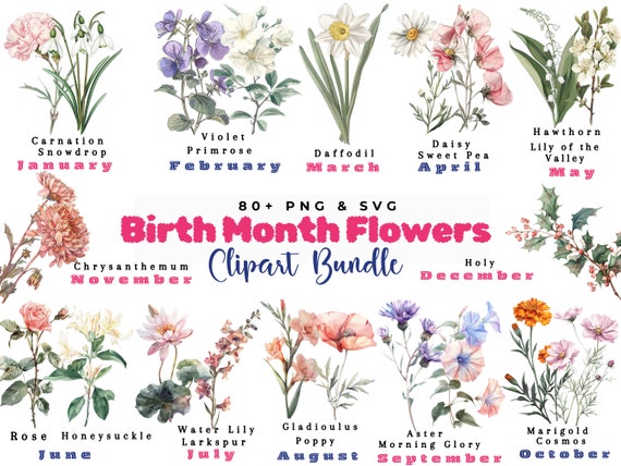 Birth Month Flowers Svg, Birthday Flower Svg, Birth Month Flower Png Bundle, Botanical Clipart, Watercolor Antique Floral, Instant Download