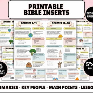 Könnte beinhalten: Ein Set aus druckbaren Bibeleinlagen im Format 13 cm x 18 cm mit Zusammenfassungen, wichtigen Personen, Kernpunkten und Lektionen für 66 Bücher der Bibel. Die Seiten enthalten farbige Überschriften, Textfelder und Illustrationen wie Globus und Arche.