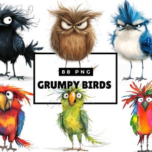 Grumpy Birds Clipart, Quirky Bird Clip Art Bundle, Whimsical Humorous Bird Art Illustrations, Sublimation Clip Art Card Making