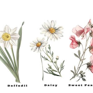 Birth Month Flowers Svg, Birthday Flower Svg, Birth Month Flower Png Bundle, Botanical Clipart, Watercolor Antique Floral, Instant Download