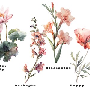 Birth Month Flowers Svg, Birthday Flower Svg, Birth Month Flower Png Bundle, Botanical Clipart, Watercolor Antique Floral, Instant Download