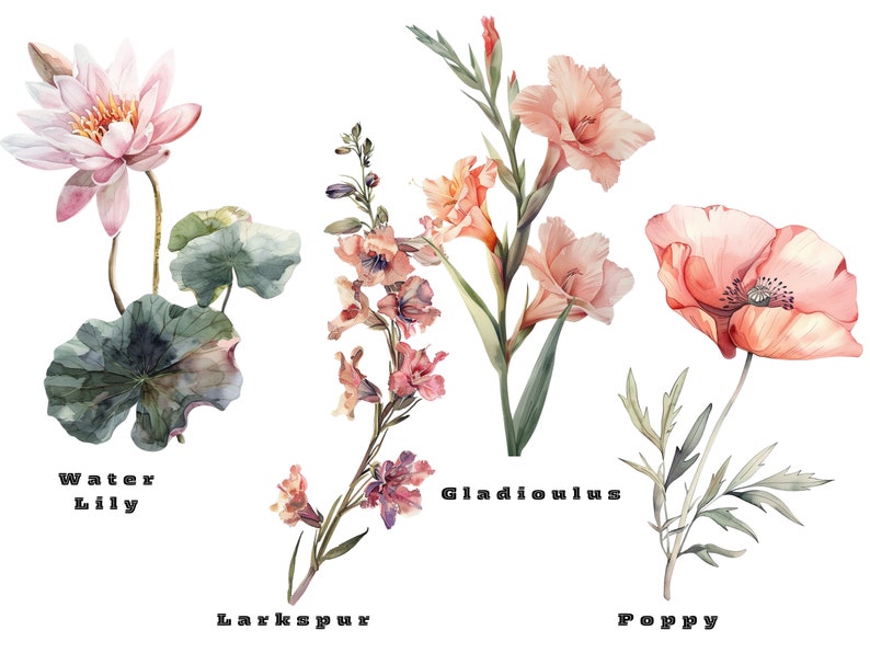 Birth Month Flowers Svg, Birthday Flower Svg, Birth Month Flower Png Bundle, Botanical Clipart, Watercolor Antique Floral, Instant Download