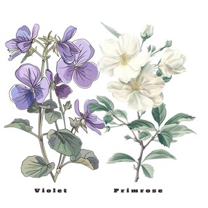 Birth Month Flowers Svg, Birthday Flower Svg, Birth Month Flower Png Bundle, Botanical Clipart, Watercolor Antique Floral, Instant Download