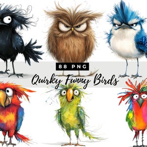 Bundle de cliparts drôles d'oiseaux drôles d'art d'oiseau humoristique d'art d'oiseaux d'illustrations d'oiseaux fantaisistes de sublimation de clipart de fabrication de cartes