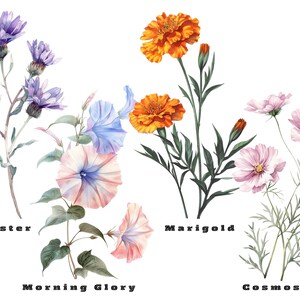 Birth Month Flowers Svg, Birthday Flower Svg, Birth Month Flower Png Bundle, Botanical Clipart, Watercolor Antique Floral, Instant Download
